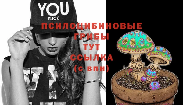 МДМА Вязьма