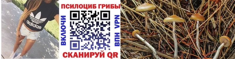 Галлюциногенные грибы прущие грибы  Купить  Исилькуль 